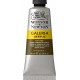 W&N Galeria Acrylic - Raw Umber tube 60ml