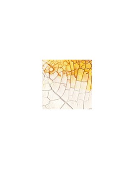 Golden Crackle Paste