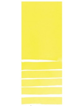 Bismuth Vanadate Yellow - Extra Fine Water Color 5ml