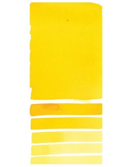 Mayan Yellow - Extra Fine Water Color 5ml