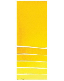 Indian Yellow - Extra Fine Water Color