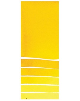 Indian Yellow - Extra Fine Water Color 5ml