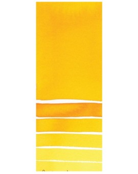 New Gamboge - Extra Fine Water Color