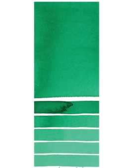 Phtalo Green (Blue Shade) - Extra Fine Water Color 5ml