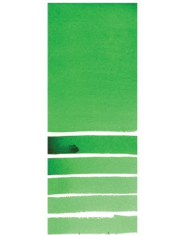 Phtalo Green (Yellow Shade) - Extra Fine Water Color 5ml