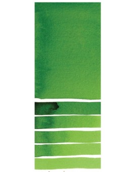 Hooker's Green - Extra Fine Water Color