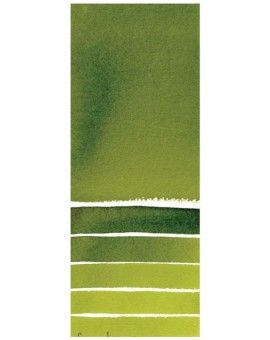 Sap Green - Extra Fine Water Color 5ml