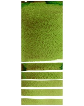 Green Apatite Genuine - Extra Fine Water Color 5ml