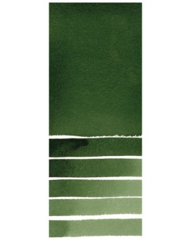 Deep Sap Green - Extra Fine Water Color 5ml