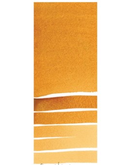 Raw Sienna - Extra Fine Water Color