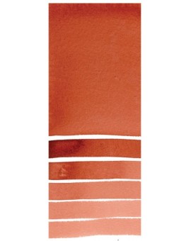 Quinacridone Burnt Scarlet - Extra Fine Water Color 5ml