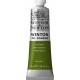 W&N Winton Oil Colour - Sap Green tube 37ml