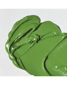 Permanent Green Light - W&N Winton Oil Colour