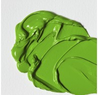 W&N Winton Oil Colour - Phtalo Yellow Green (403)