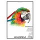 tekenblok Aurora Steinbach 250gr - A3 (BL18)