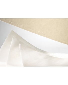 Ingres d'Arches mbm tekenpapier per vel