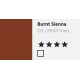 Burnt Sienna - Daler Rowney Georgian Oil Colour