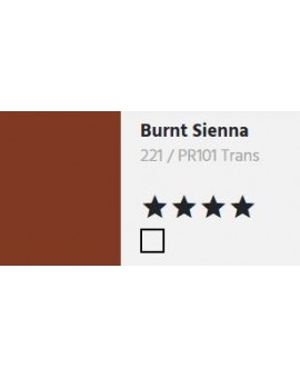 Burnt Sienna - Daler Rowney Georgian Oil Colour