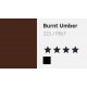 Burnt Umber - Daler Rowney Georgian Oil Colour