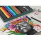 Polychromos & Pitt Graphite Matt geschenkset 50-delig