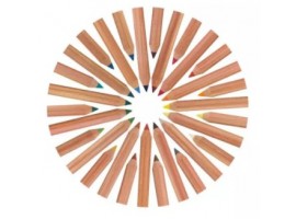Pitt Artists' Pastel Faber-Castell - pastelpotloden per stuk